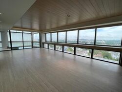 Hana (D10), Condominium #464315791